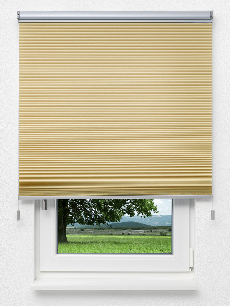 Preview Honeycomb Balto 1