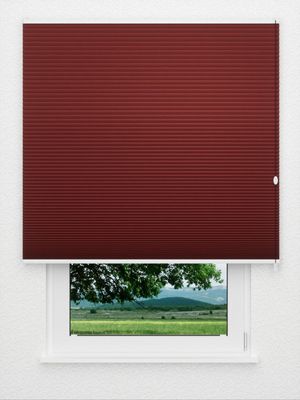 Preview Honeycomb Balto 3