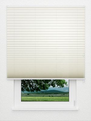 Preview Colour Grain 3.011.88 3
