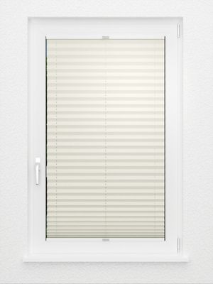 Preview Plissee Colour Life B1 2