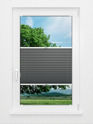 Preview Plissee Colour Life B1 0