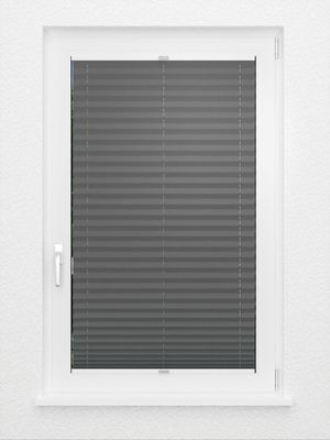 Preview Plissee Colour Life B1 2