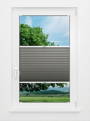 Preview Color Life 0
