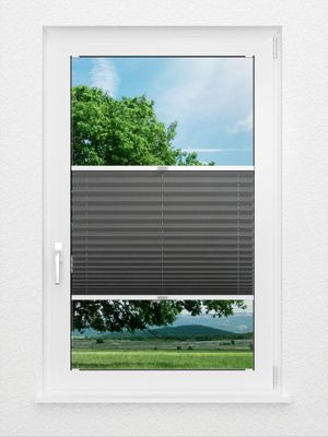 Preview Color Life 0