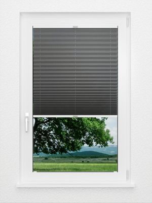 Preview Color Life 1