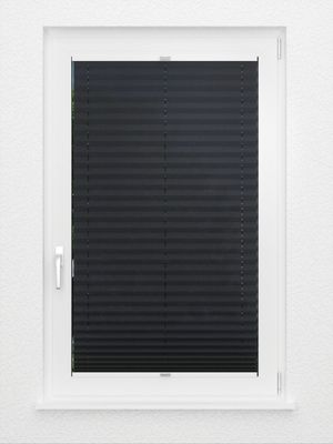 Preview Color Life 2