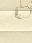 Fruity 3.625.68 Detailansicht