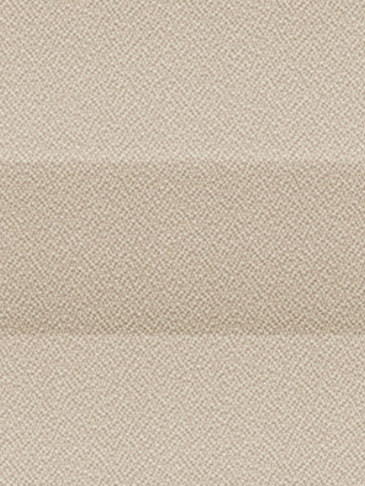 Color Life Detailansicht