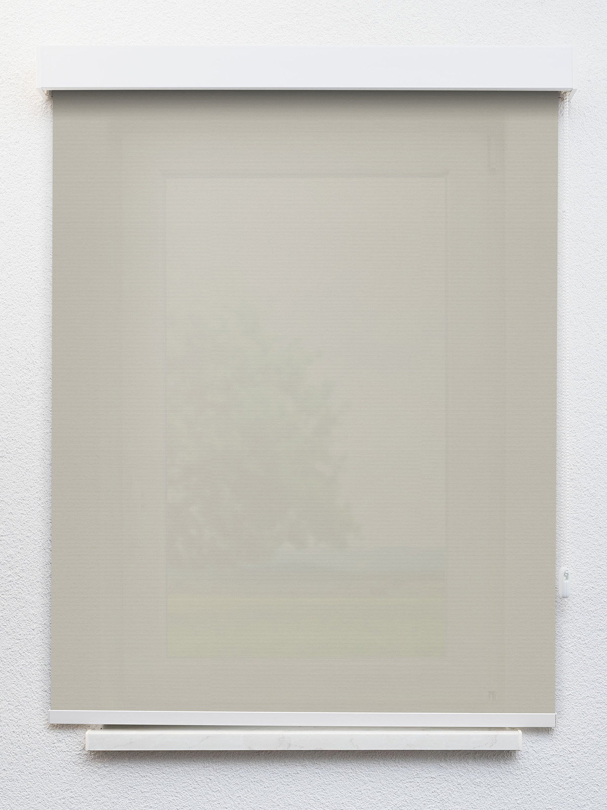 Detailansicht Alcudia