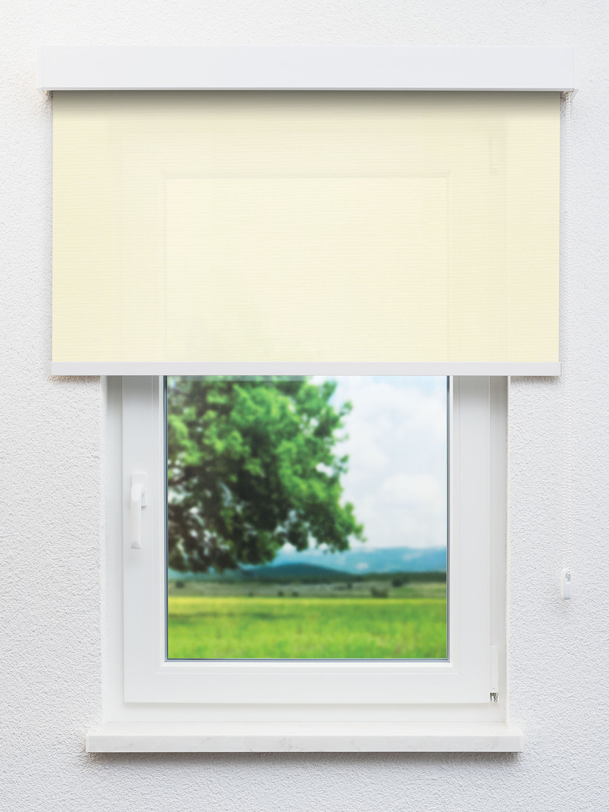 Detailansicht Alcudia