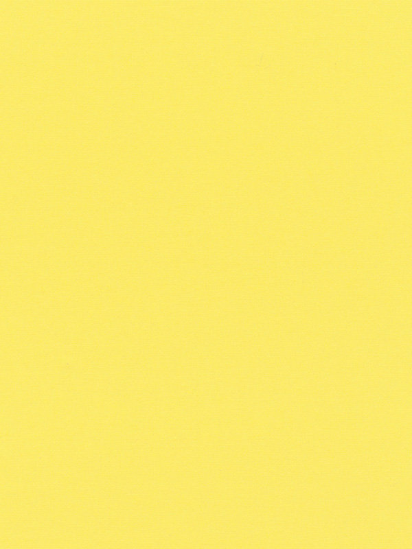 Detailbild Rollo 044.24r