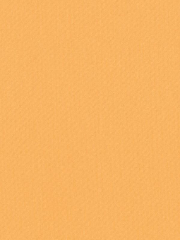Detailbild Rollo 140.27r