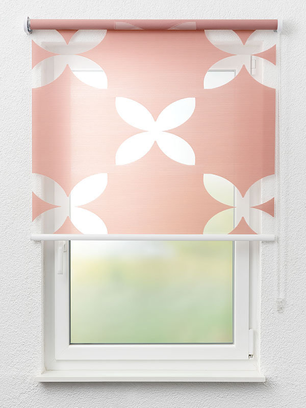 Detailansicht Bluefields 6355