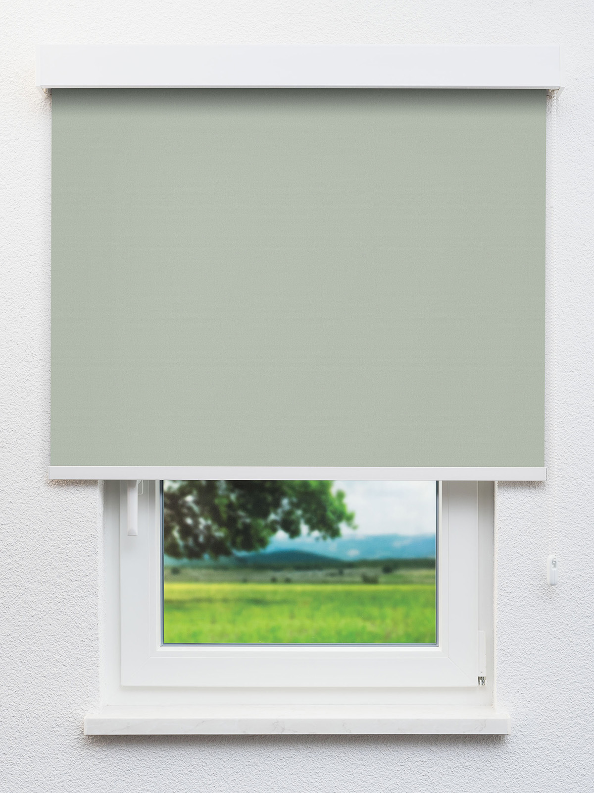 Detailansicht 