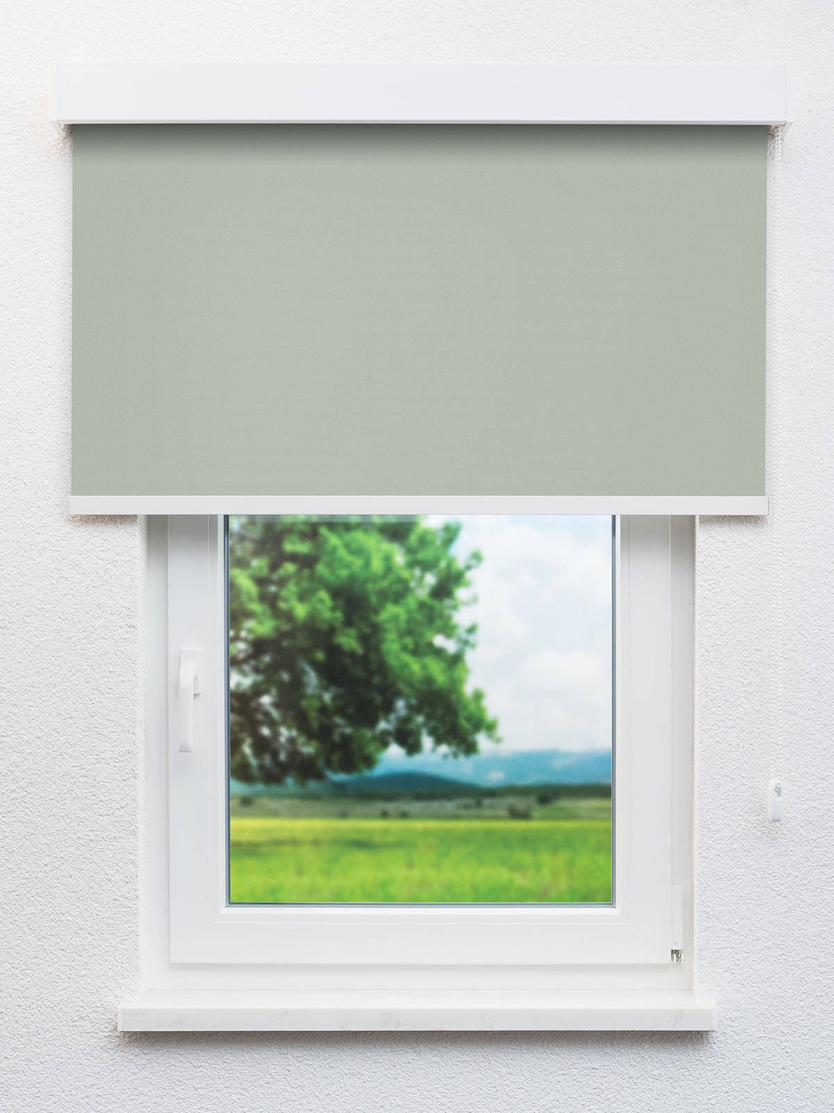 Detailansicht 