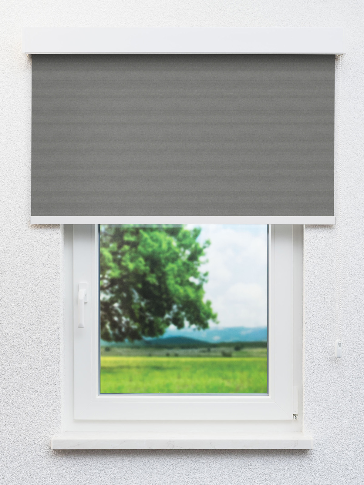 Detailansicht 