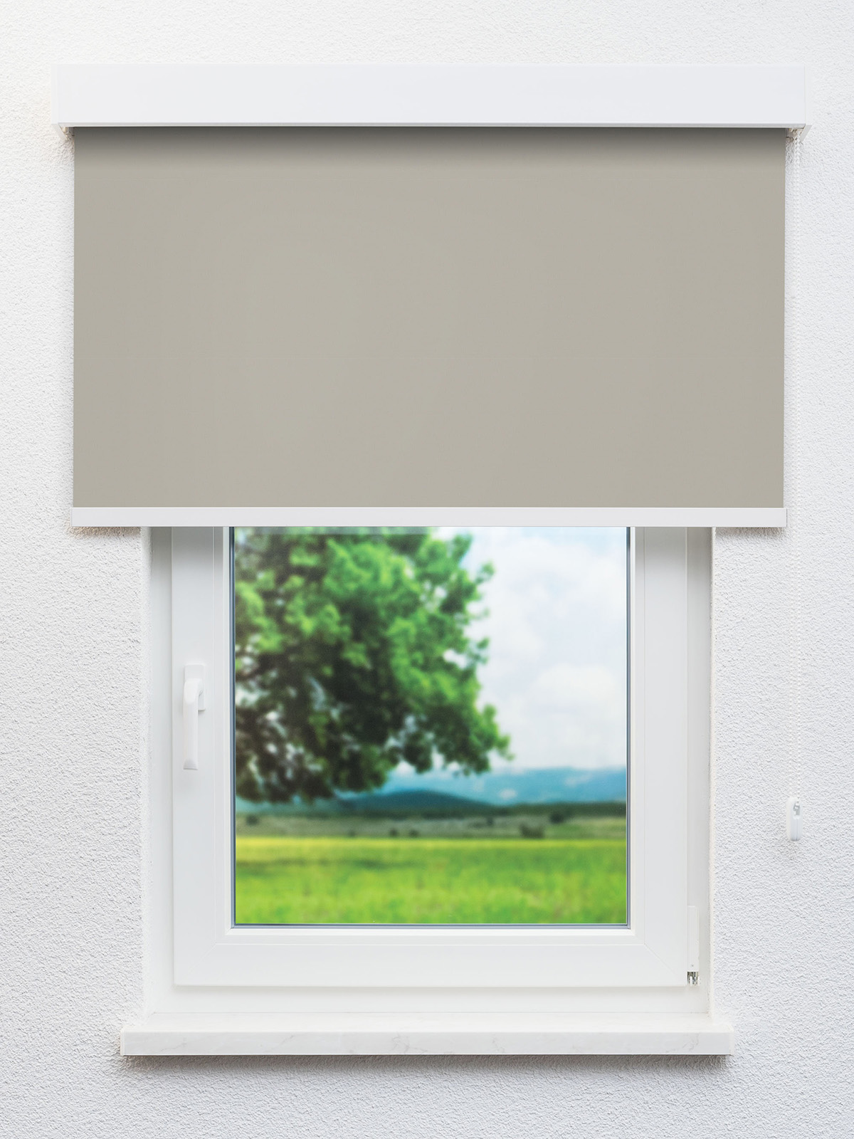 Detailansicht 