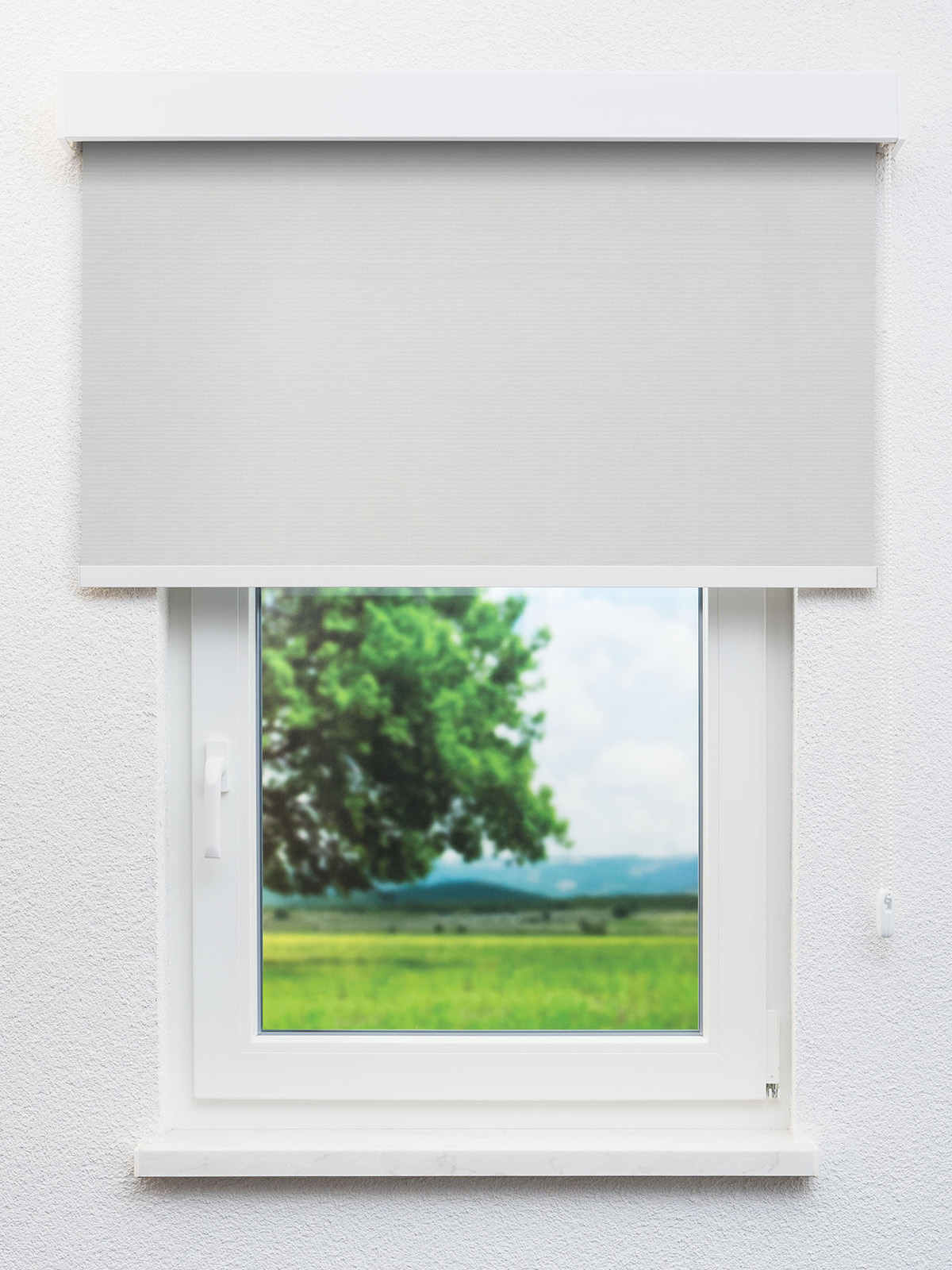 Detailansicht 