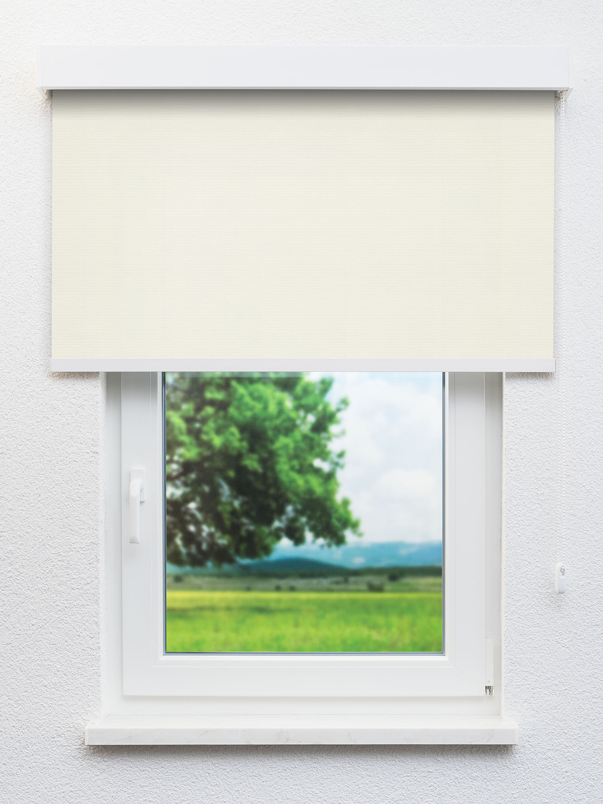 Detailansicht 