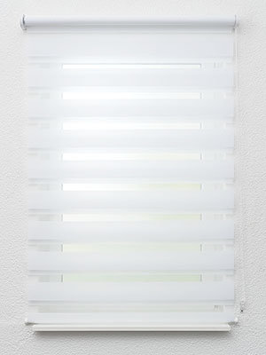 Preview Xinca 6503 1