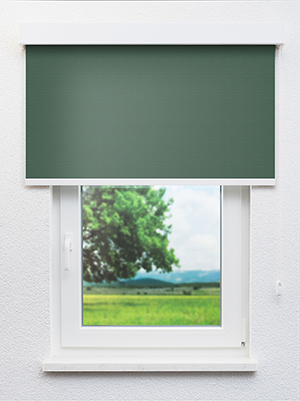 Preview Leysin VD 20129 0