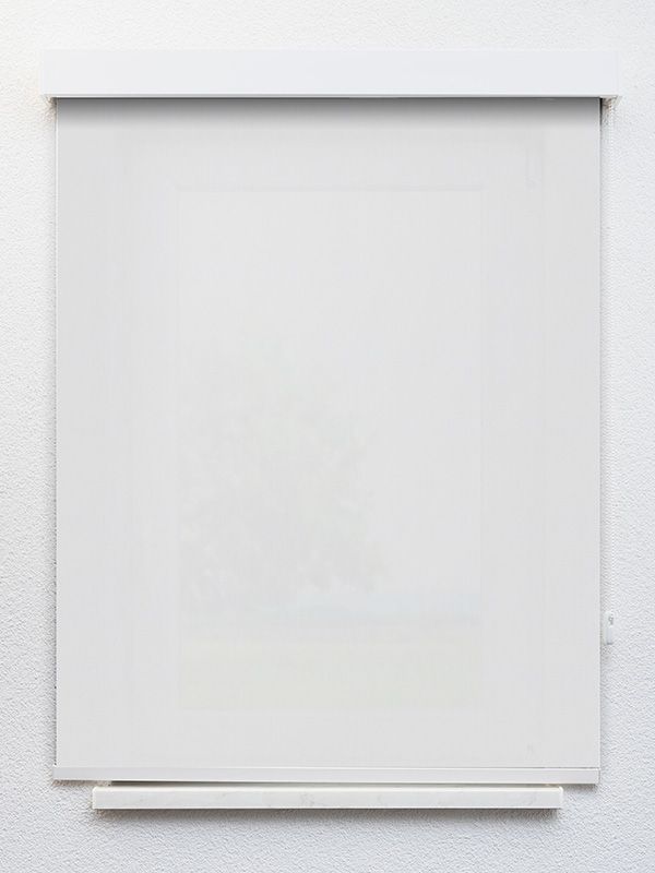 Detailansicht Alcudia 4094