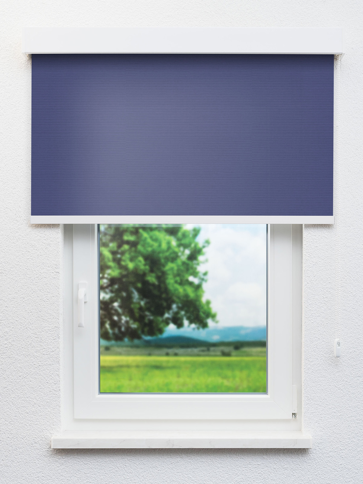 Detailansicht Alcudia 8106