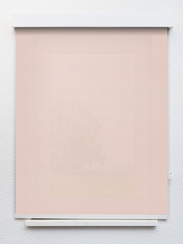 Detailansicht Italica 4239