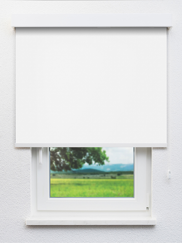 Detailansicht Truttikon 20372