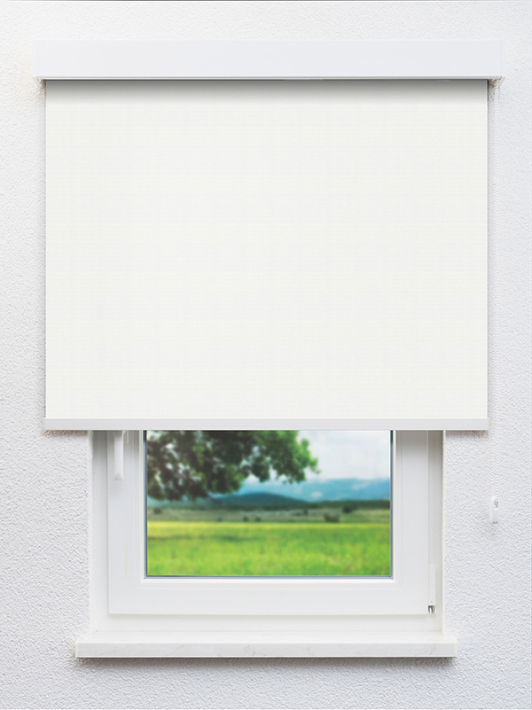 Detailansicht Moiry 20164