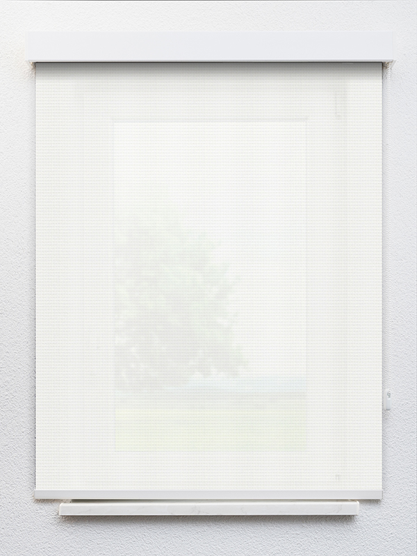 Detailansicht Meyriez 20252