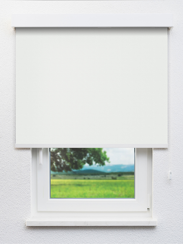 Detailansicht Bioggio VD 20035