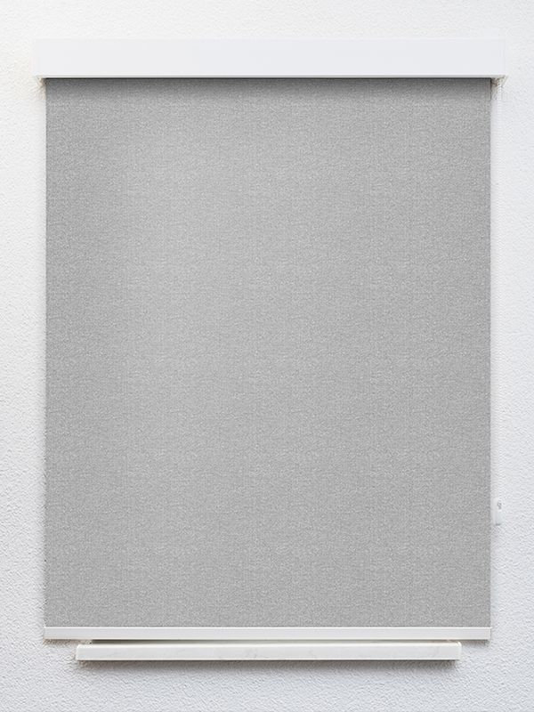 Detailansicht Lucens 20135