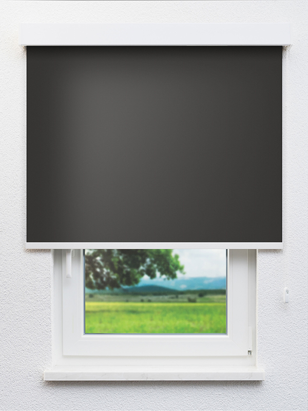 Detailansicht Mesocco 20245