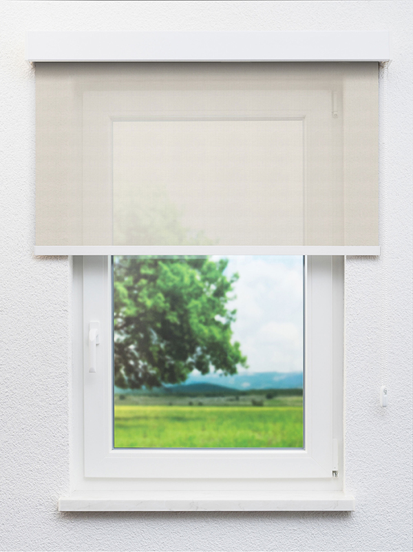 Detailansicht Meride 20177