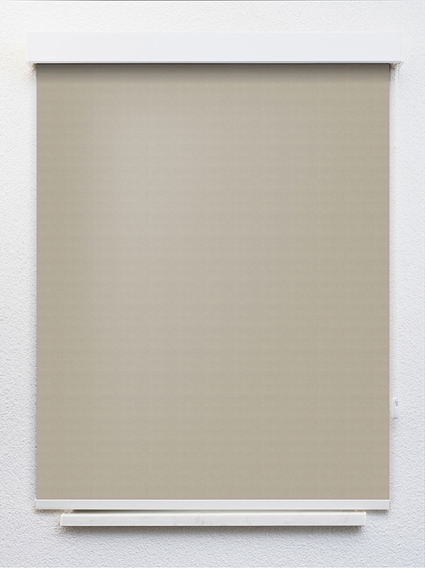 Detailansicht Leysin VD 20130