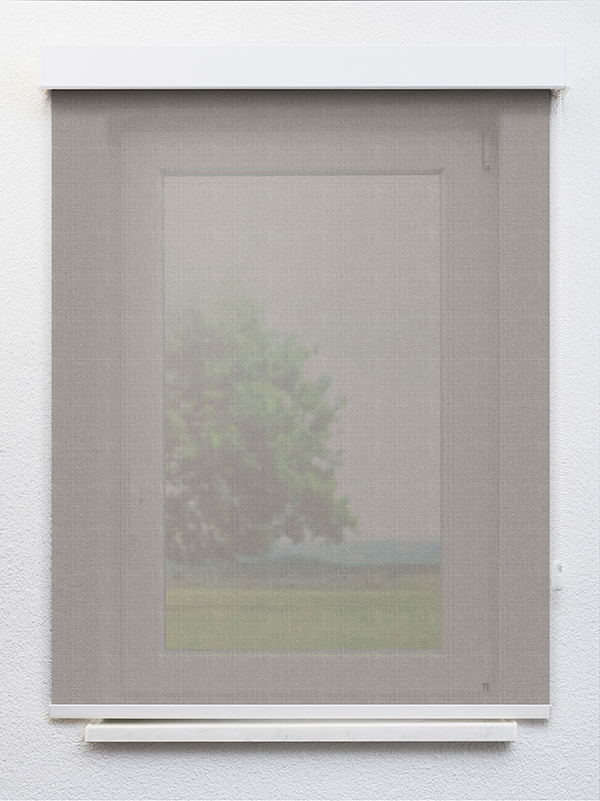 Detailansicht Maroggia 20214