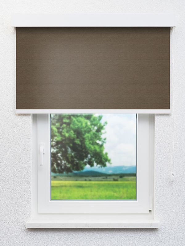 Detailansicht Küblis 20097