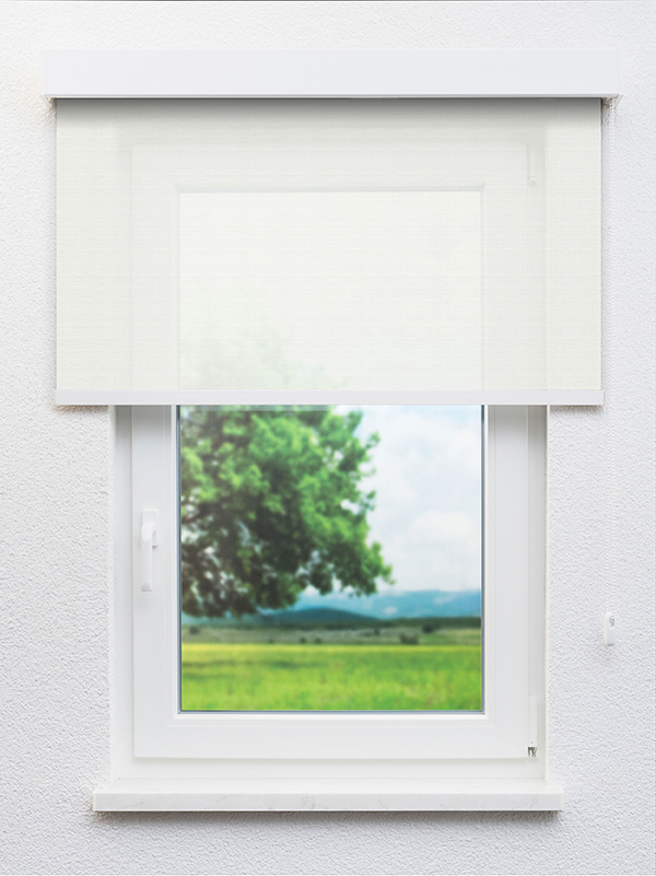 Detailansicht Köniz 20099