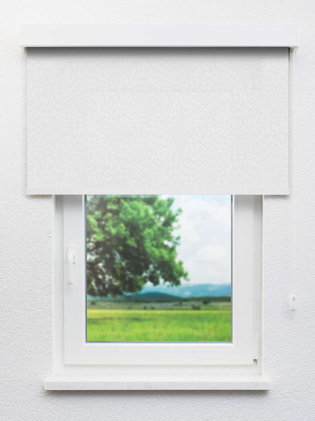 Detailansicht Jativa 7520