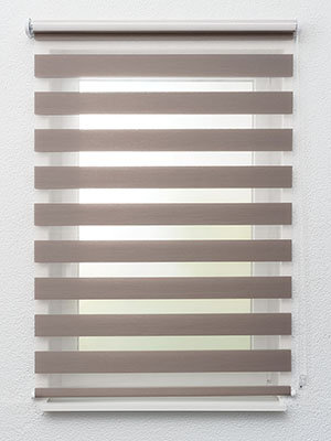 Preview Xinca 6501 1