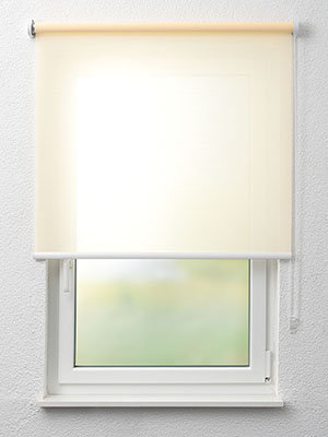 Faro 4028 Fensteransicht