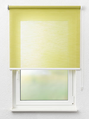 Faro 4035 Fensteransicht