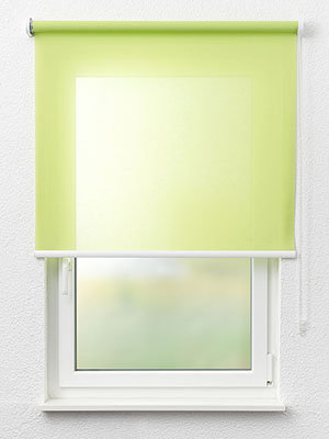 Calvia 6008 Fensteransicht