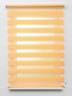 Preview Jacalteco 6542 1