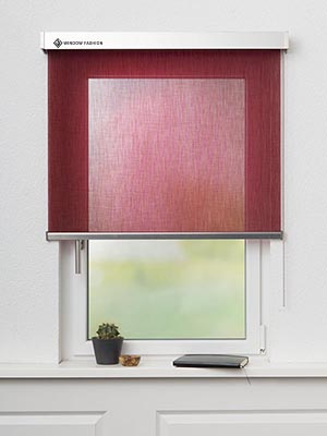 Rollo Tacoma 33061 Fensteransicht