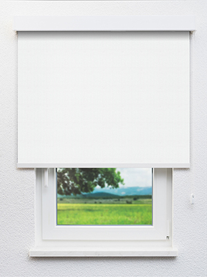 Noville 20259 Fensteransicht