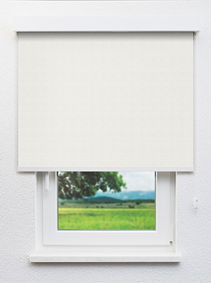 Marly VD 20151 Fensteransicht