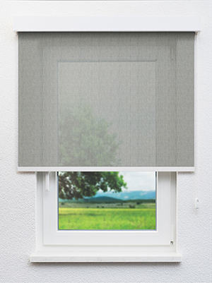 Carona 20046 Fensteransicht