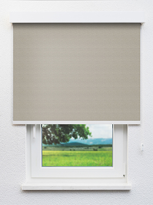 Bioggio VD 20032 Fensteransicht